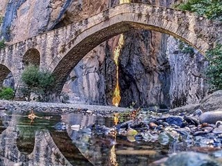 Προσφορά 2952456