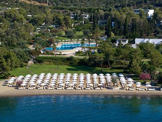 Προσφορά 2941784